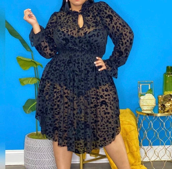 Plus Size Clothing available online in South Africa