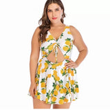 Lemons Plus Size Swimsuit