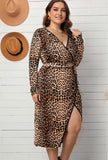 Kono Leopard Print Plus Size Dress