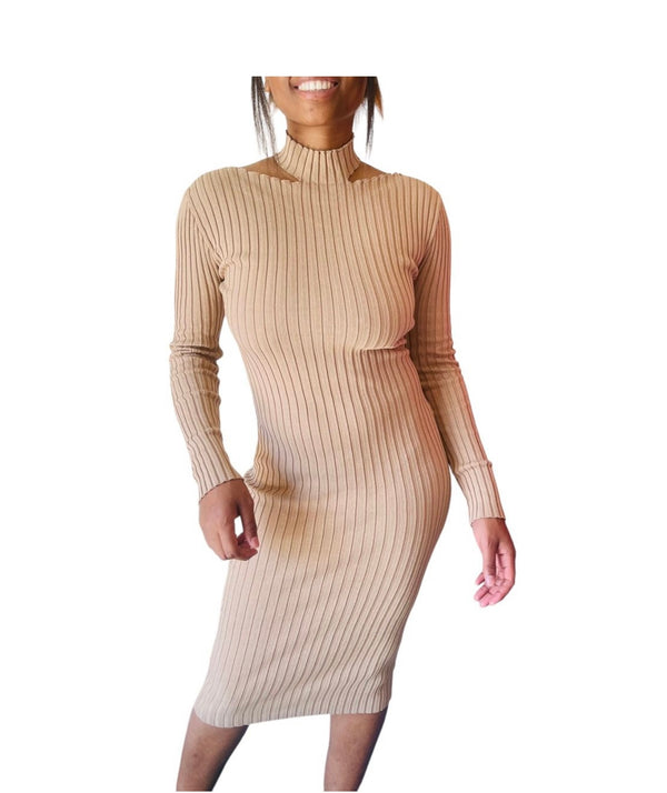 Evelyn Stylish Ribbed Open Neck Slit Winter Dress for Women