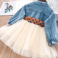 Drew Denim Mesh Princess Dress for girls children