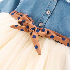 Drew Denim Mesh Princess Dress for girls children