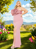 High Quality Sophia Plus Size Pink Blush Dress