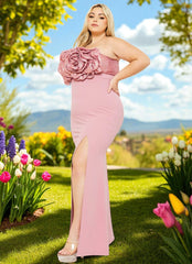 High Quality Sophia Plus Size Pink Blush Dress