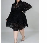 Soo Lacy Plus Size Dress