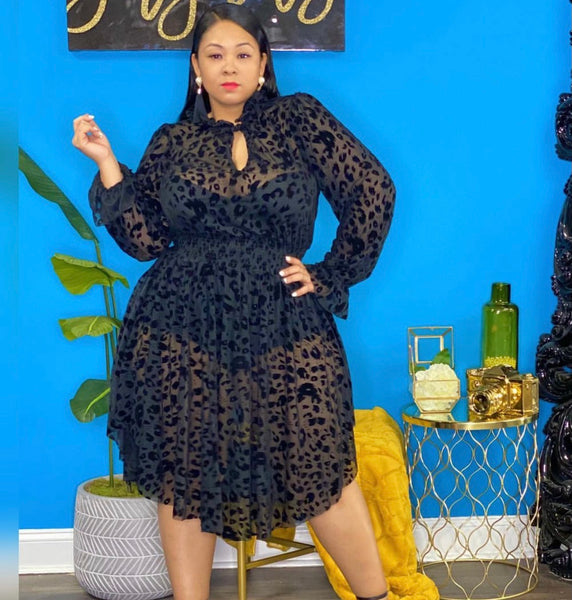 Soo Lacy Plus Size Dress