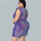 Glitz and Glam Plus size Dress